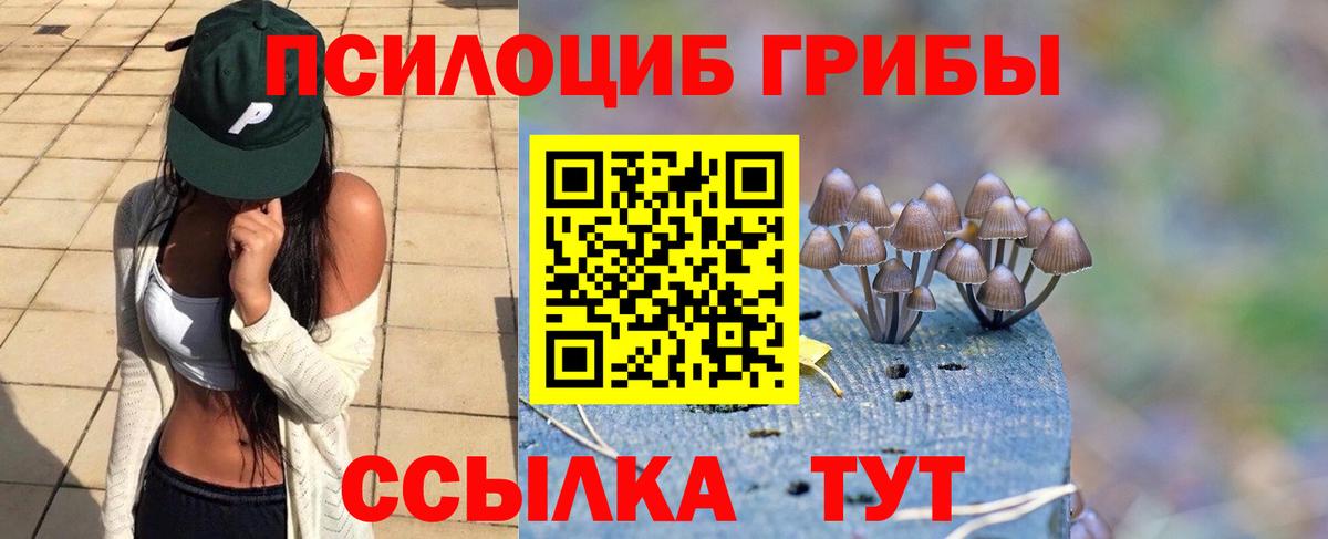 Галлюциногенные грибы Psilocybine cubensis  Вход с VPN  Арсеньев 